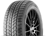 Anvelope Iarna DOUBLESTAR DW09 235/55 R17 99 T