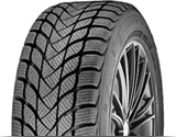 Anvelope Iarna DELINTE WD6 195/45 R16 84 H XL